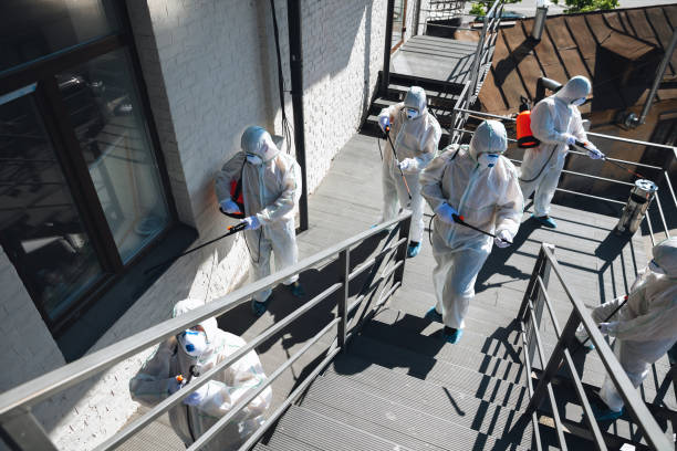 Best Mold Damage Restoration  in Verandah, FL