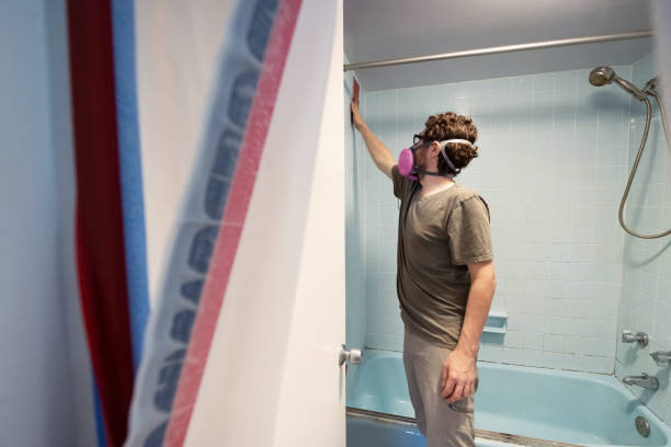 Best Black Mold Removal  in Verandah, FL